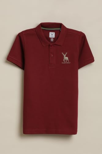 Allen Solly Boys Maroon Embroidered Polo Neck T-Shirt