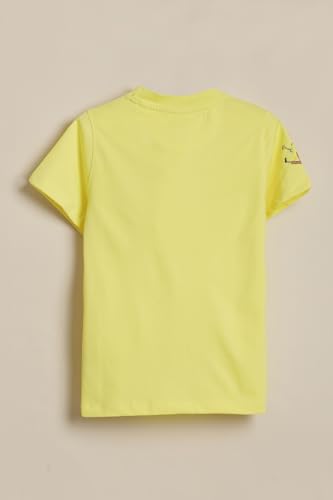 Boys Yellow Graphic Print Crew Neck T-Shirt
