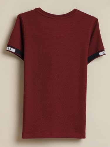 Boys Maroon Textured Crew Neck T-Shirt