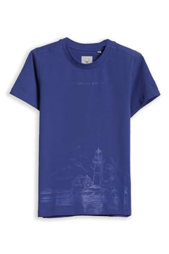 Boys Blue Graphic Print Crew Neck T-Shirt