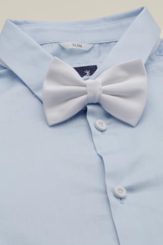 Allen Solly Boys Light Blue Solid Party Shirt