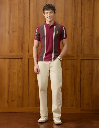U.S.Polo Association Men's Vertical Striped Slim Fit Polo Shirt (USTSH3533_Maroon_L)
