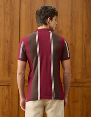 U.S.Polo Association Men's Vertical Striped Slim Fit Polo Shirt (USTSH3533_Maroon_L)