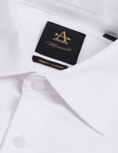 Arrow Men's Dobby Liberty Classic Regular Fit Shirt