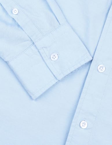 Flying Machine Light Blue Cotton Oxford Regular Fit Men's Shirt