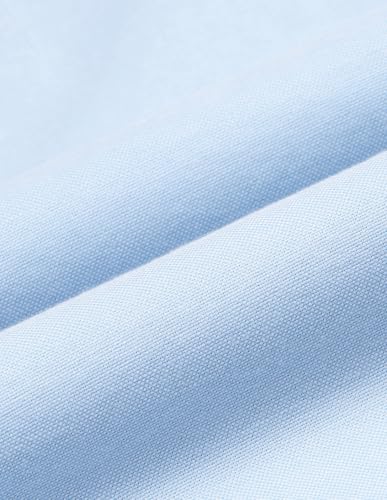 Flying Machine Light Blue Cotton Oxford Regular Fit Men's Shirt