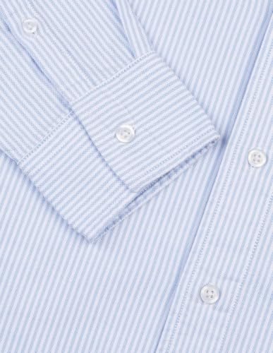 Flying Machine Blue Striped Oxford Regular Fit Men's Shirt