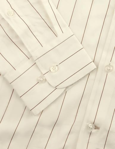 U.S.Polo Association Men's Vertical Striped Satin Shirt