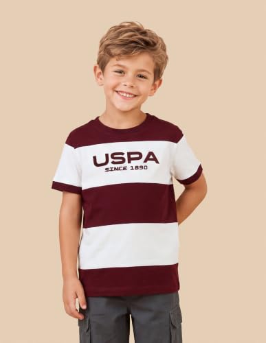 U.S. Polo Assn. Kids Maroon Striped Crew Neck Boy's T-Shirt