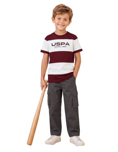 U.S. Polo Assn. Kids Maroon Striped Crew Neck Boy's T-Shirt