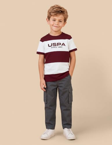 U.S. Polo Assn. Kids Maroon Striped Crew Neck Boy's T-Shirt