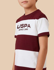 U.S. Polo Assn. Kids Maroon Striped Crew Neck Boy's T-Shirt