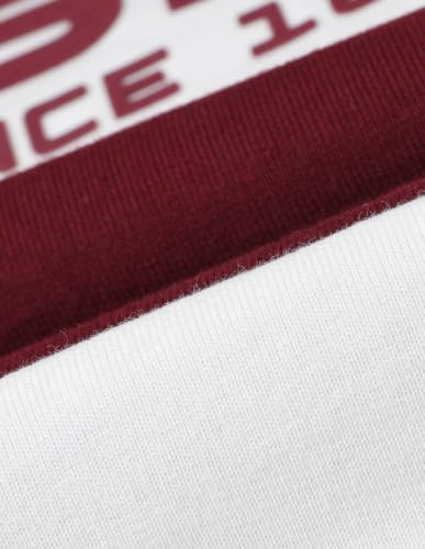 U.S. Polo Assn. Kids Maroon Striped Crew Neck Boy's T-Shirt