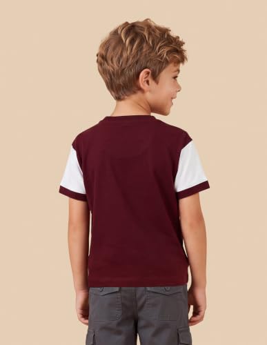 U.S. Polo Assn. Kids Maroon Striped Crew Neck Boy's T-Shirt