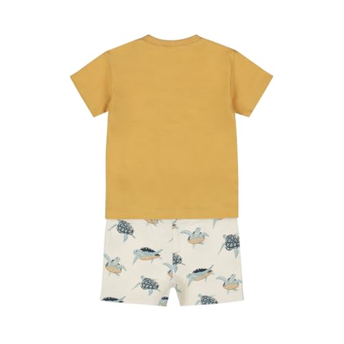 Boys Cotton 2 Pieces Set T-Shirts & Shorts