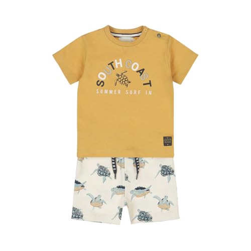 Boys Cotton 2 Pieces Set T-Shirts & Shorts