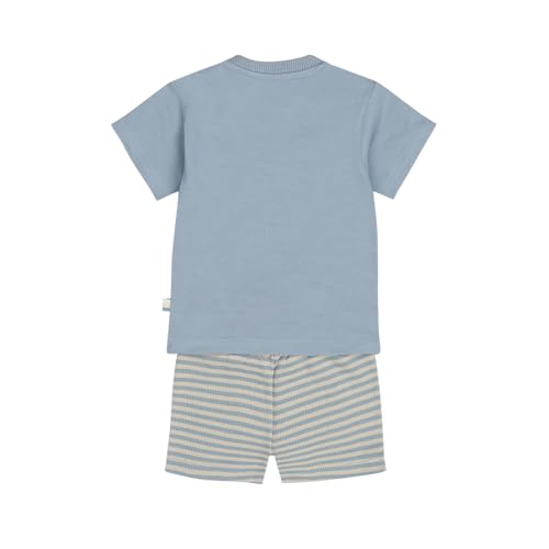 Boys Cotton Printed Striped 2 Piece Set T-shirt & Shorts