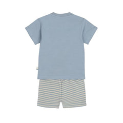 Boys Cotton Printed Striped 2 Piece Set T-shirt & Shorts