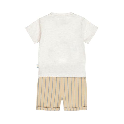 Boys Cotton Printed Striped 2 Piece Set T-shirt & Shorts