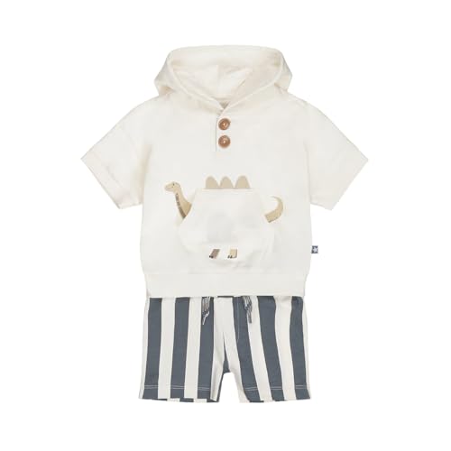 Boys Cotton Loose Fit 2 Piece Set Hoodie & Shorts