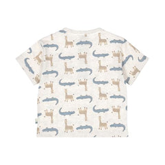 Boys Cotton Loose Fit T-Shirt