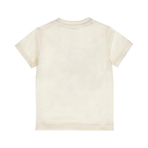 Boys Cotton Printed T-Shirt