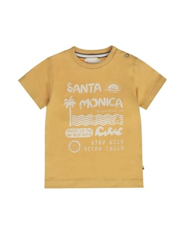 Boys Round Neck Cotton Printed T-Shirt