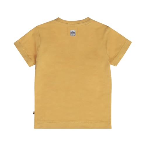 Boys Round Neck Cotton Printed T-Shirt
