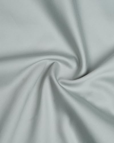 Blackberrys Men's Solid Mint Slim-Fit Shirts |Formal Wear
