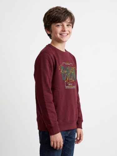 Monte Carlo Boys Regular Fit Full Sleeve Printed Round Neck Winter Sweatshirt