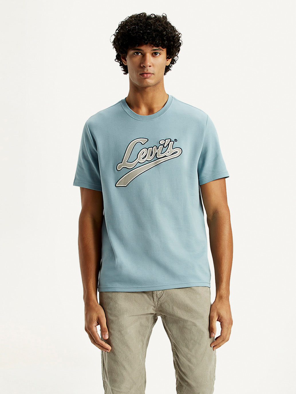Levis Mens T-Shirt H/S A7973-0166