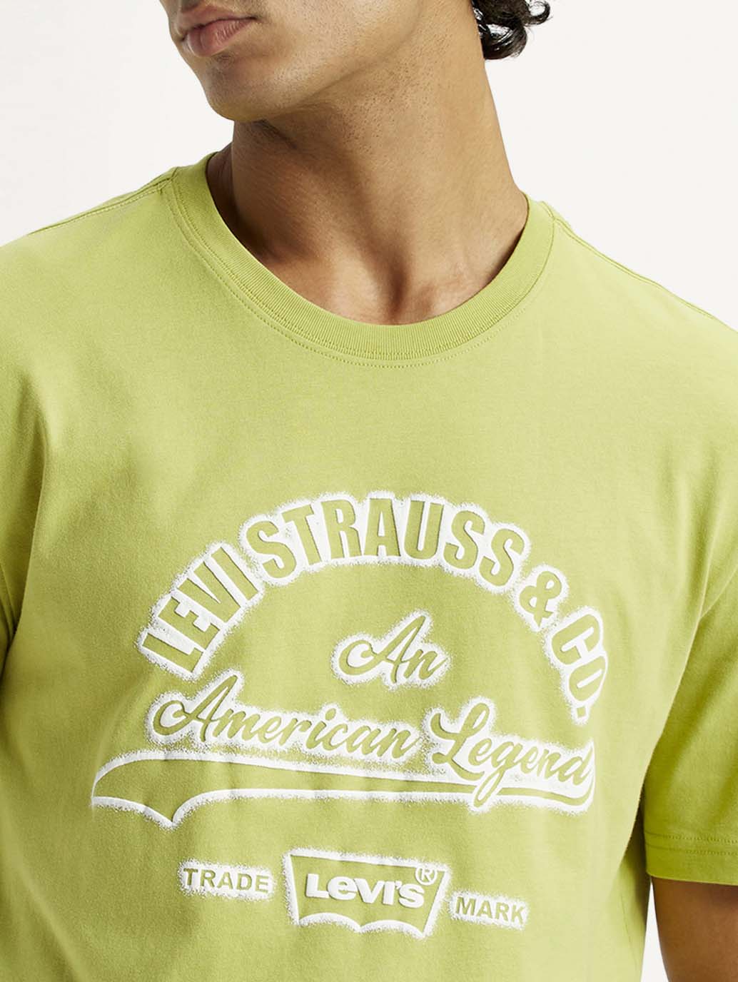 Levis Mens T-Shirt H/S A7973-0176 - Goyalsons ShopMax
