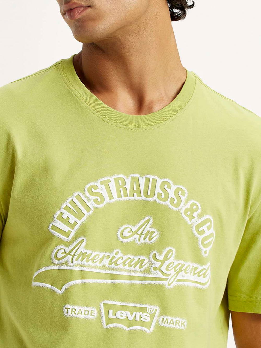 Levis Mens T-Shirt H/S A7973-0176 - Goyalsons ShopMax