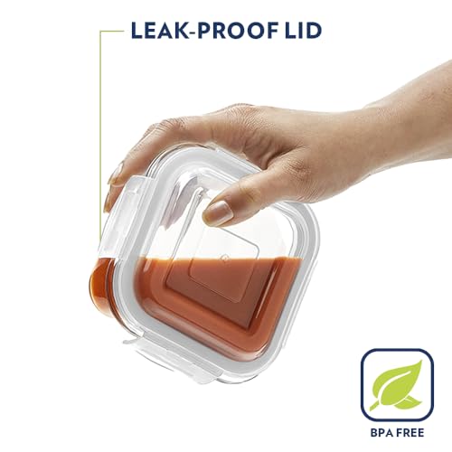 Borosil Klip n Store Lunchbox with Bag | Set of 2 Square Container (320ml Each) | Made in India Borosilicate Glass | Microwave & Dishwasher Safe | Tiffin for Office/School/College | Horizontal