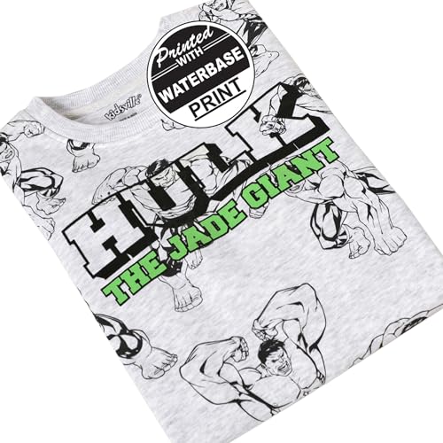 Disney Special Boys Sweat Shirt