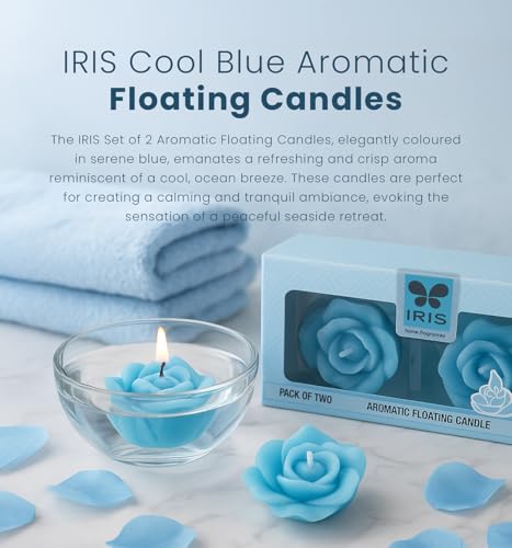 Iris Household Diffuser Infl8151Cb