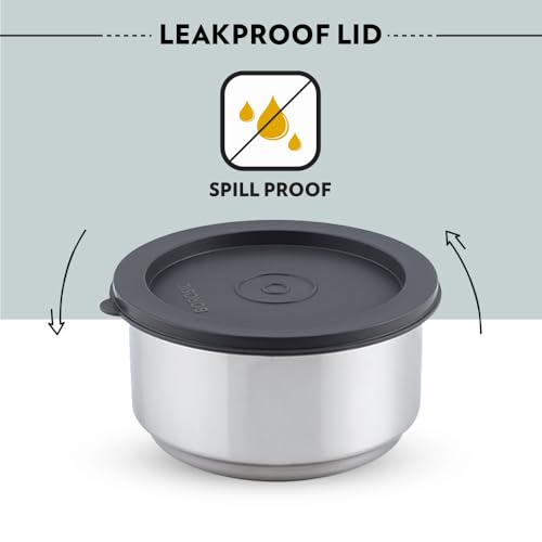 Borosil Carry Fresh Stainless Steel Lunchbox | 2 pc Round Container Set (280ml Each) | Tiffin for Office, School & College with Food Grade Steel | Leakproof & Dishwasher Safe | 1 Year Warranty