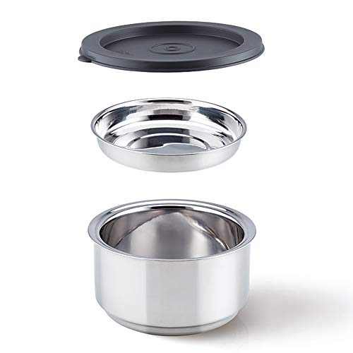 Borosil Carry Fresh Stainless Steel Lunchbox | 2 pc Round Container Set (280ml Each) | Tiffin for Office, School & College with Food Grade Steel | Leakproof & Dishwasher Safe | 1 Year Warranty