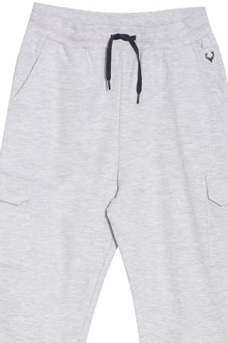 Allen Solly Boy's Regular Track Pants (ABPTERGF700586_Grey