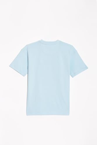 Allen Solly Boy's Regular Fit T-Shirt (ABKCCRGFA06015_Light Blue