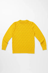 Goyalsons Boys Pullover O9202-05 Mustard