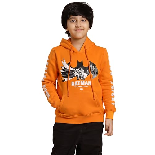 Disney Special Boys Sweat Shirt