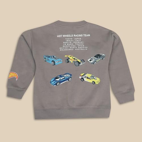 Disney Special Boys Sweat Shirt