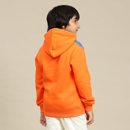 Disney Special Boys Sweat Shirt