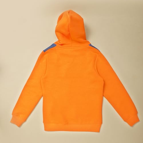 Disney Special Boys Sweat Shirt