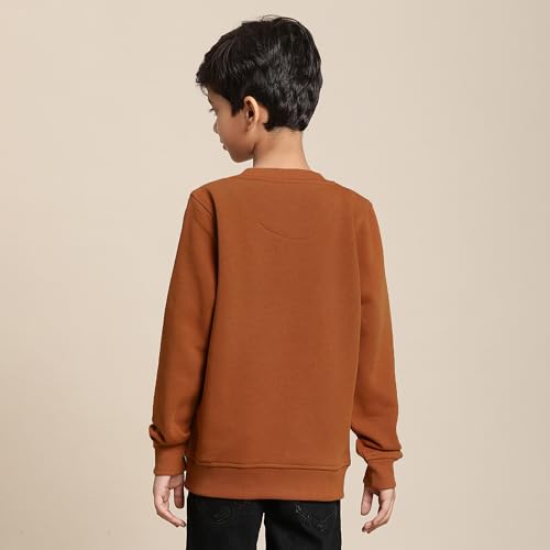 Disney Special Boys Sweat Shirt