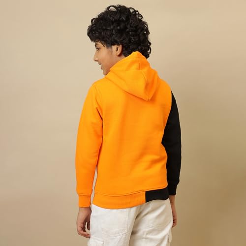 Disney Special Boys Sweat Shirt