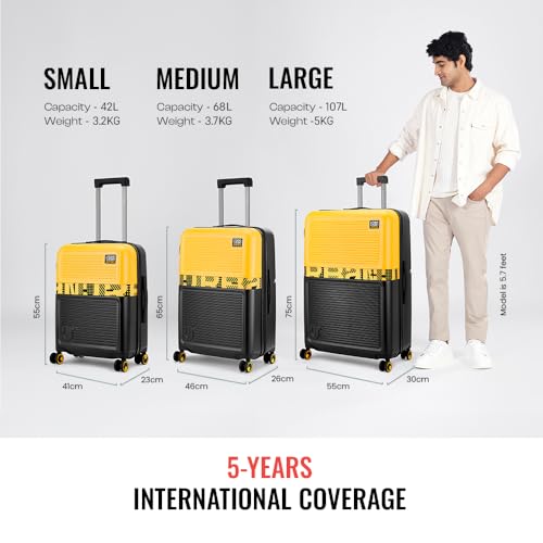 Urban Jungle by Safari, The OG Large