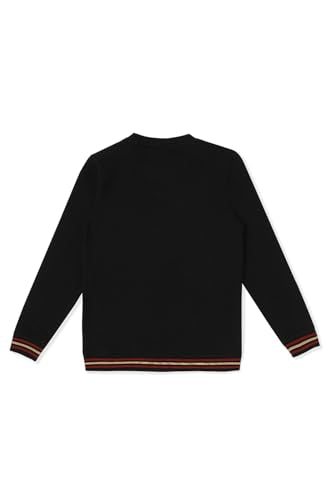 Allen Solly Boys Sweat Shirt 524330
