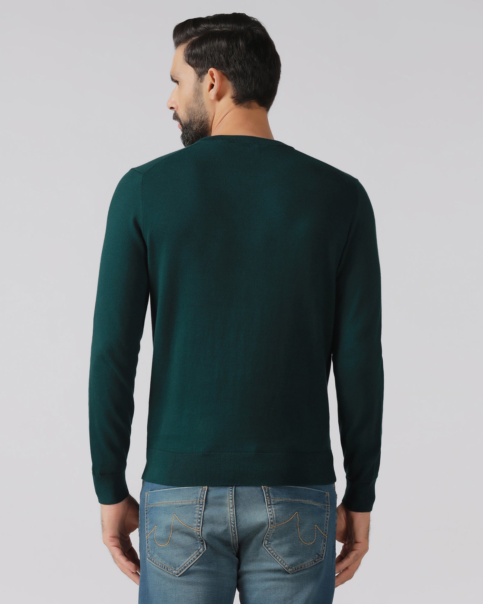 Blackberry Mens Pullover En-Ss-Mario Beetle
